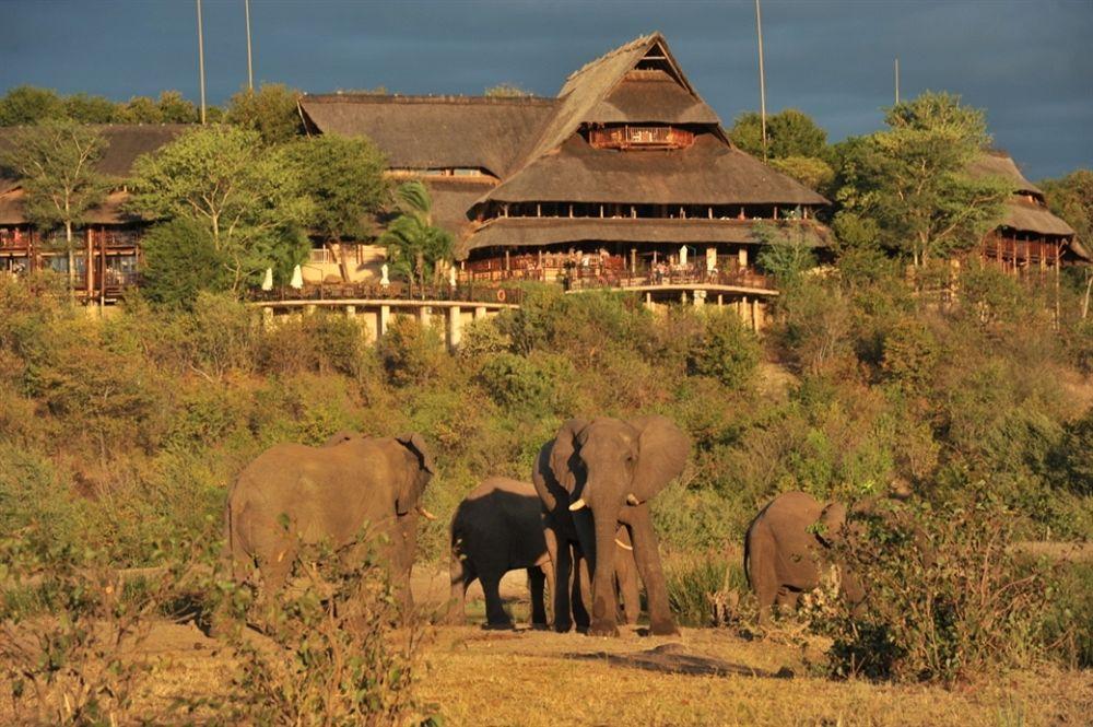 Hotel Safari